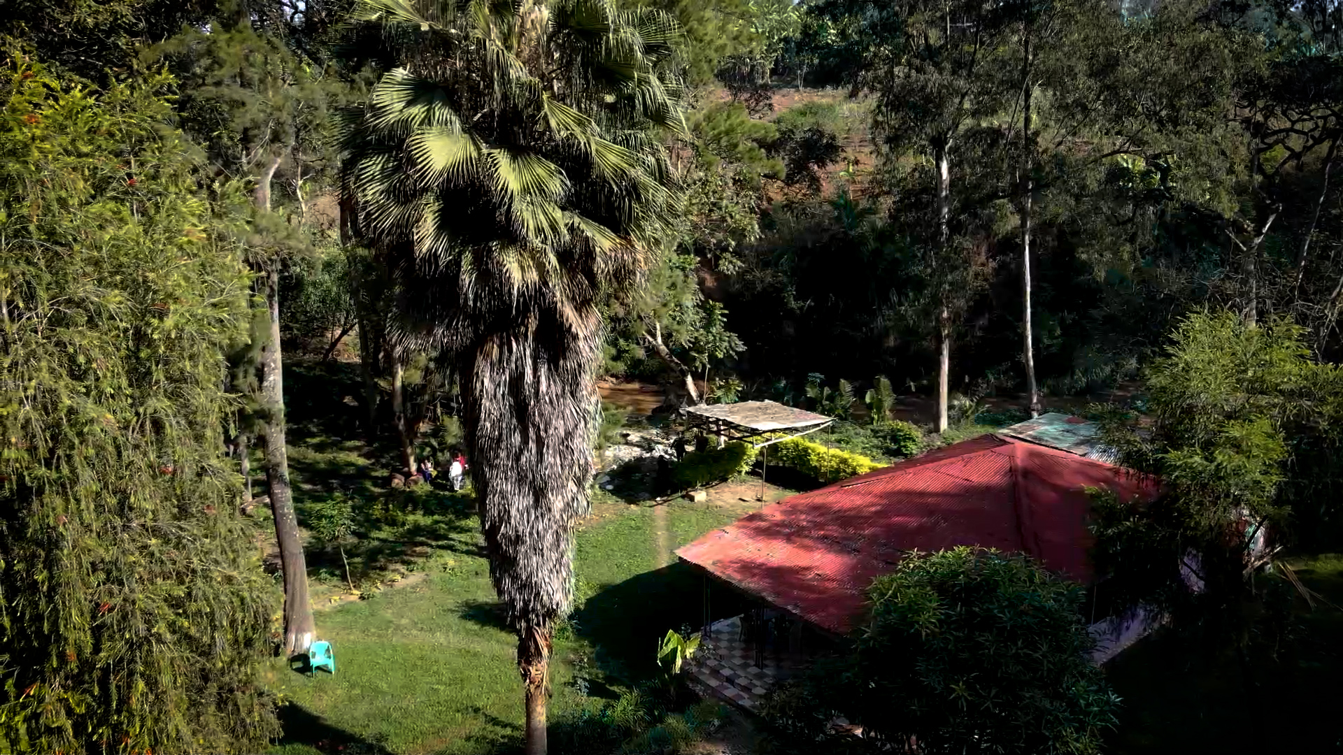 Ne.00_05_37_14.Still037